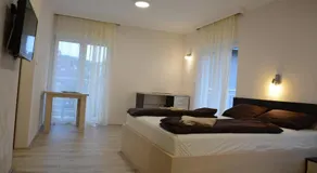 Atomski cvet Atomska banja Gornja Trepča - Image 2