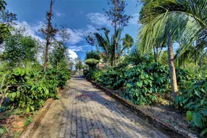 Coorg Bliss Estate Stay - Image 5