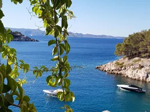 Apartment Iva A4 Cove Osibova (Milna), Island Brac - Image 4