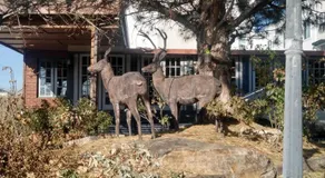 The Charin Inn - Image 5