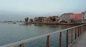 Mattei Domus - Image 4