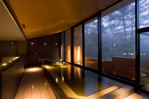 The Prince Karuizawa - Image 3