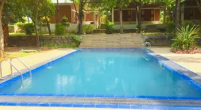Villa viverra - Image 4