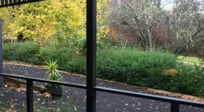 Goldberryaccommodation - Image 4