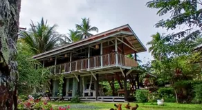 Bohol Hammock Hostel - Image 3