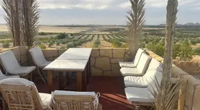 Siwa desert palace - Image 4