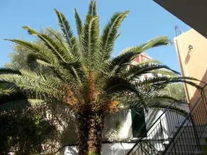 Kavos Fantasia Complex - Image 3