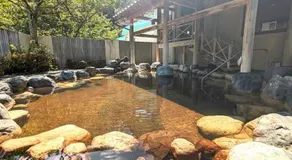 Tonamino Shogawaso Ichimantei - Image 3