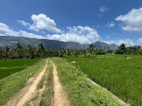 Tharissu potta farm stay - Image 4