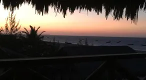 Casa tartaruga - Image 3