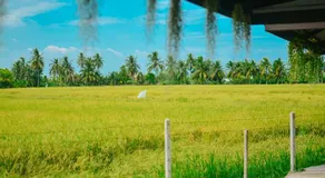 The White House Homestay - Image 5