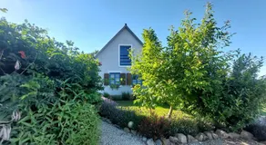 Spaletta - Image 4