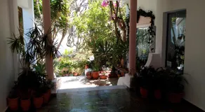 Hotel Kleopatra - Image 2