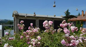 Quinta Da Lagoa GuestHouse - Image 5