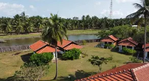 windy beach kite resort - Image 2