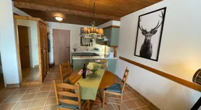 Hundefreundliche Bergwohnung neben der Skipiste - Mittelstation Skigebiet Gerlitzen - Image 5