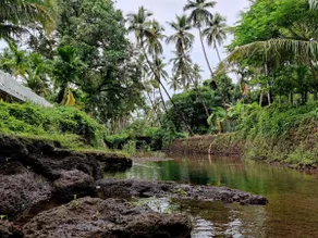 Unwind in Nature @ The Moonlit Stream - An ecostay - Image 4