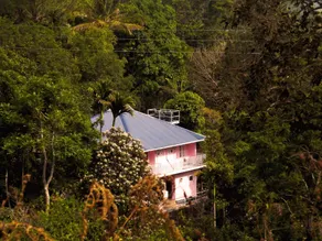 Drizzle Valley Cottage - Image 1