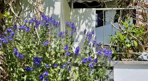 Ferienhaus Fuchseck - Image 5