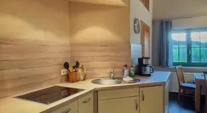 Hotel Olbernhau mit Sauna - Kleines Landhotel zur Ofenschenke - Image 3
