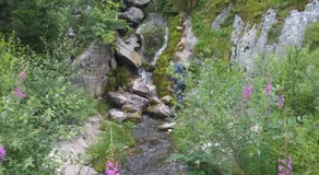 Guest House AHP - Image 5