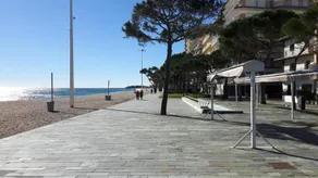 Antonella II - Image 4