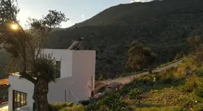 Sea Breeze - Image 4