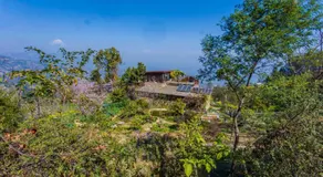 Patlekhet Community Homestay - Image 2