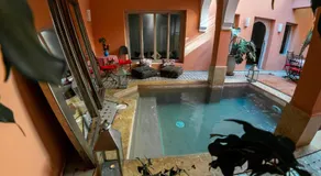 Riad Tahani - Image 3