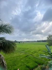Rice field Retreat - Image 5