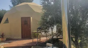 Glamping geodesic dome in secluded eco retreat - Image 4