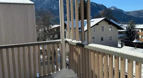 stella alpina - Image 4