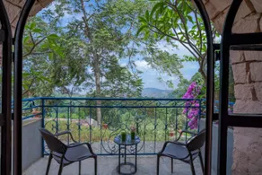 Mango Hill Yercaud - Image 2