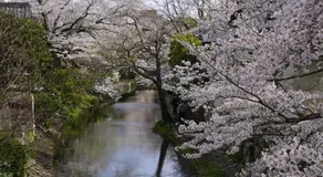 薬水君近江八幡水郷民泊貸し切り - Image 4