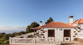 Palmera mirador - Image 4