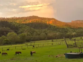 Cedar Glen Farmstay - Image 5