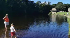 Rustling Pines at Knaresborough Lido - Image 4