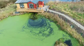 Red Sheds Cabin 'Herons Den' - Image 5