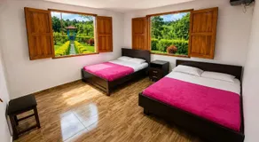 Finca Hotel Vista Palmar - Eje Cafetero - Image 3