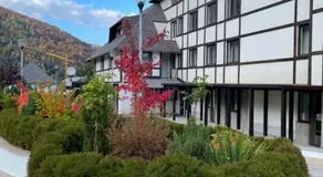 Falling Star Apartman Brzece - Image 3