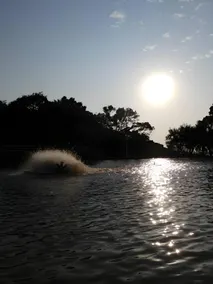Saiyuen - Image 3