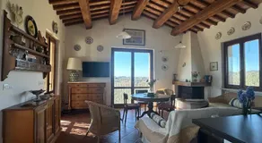 Olivella e Oleandra - Image 3