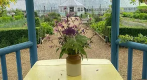 The carriage - Image 3