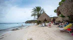 FONTEINTop - Image 4