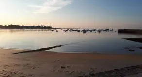 charmant Studio à Ploemeur centre--5min des plages - Image 4