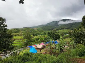 Vườn Rừng Campsite - Image 5