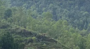 Lungta Homes - Image 4