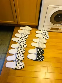 Kawagoe Homestays - Image 3