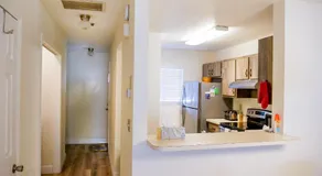 Spacious Townhome Ocala, Central Location, Newly Renovated, Pets Welcome - Image 5