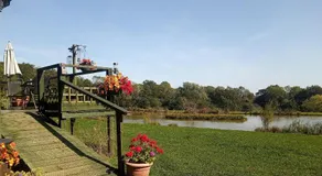 Snug & Secluded Lakeside Shepherds Hut 'Carp' - Image 4